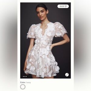 Anthropologie Ivory Floral Mini Dress